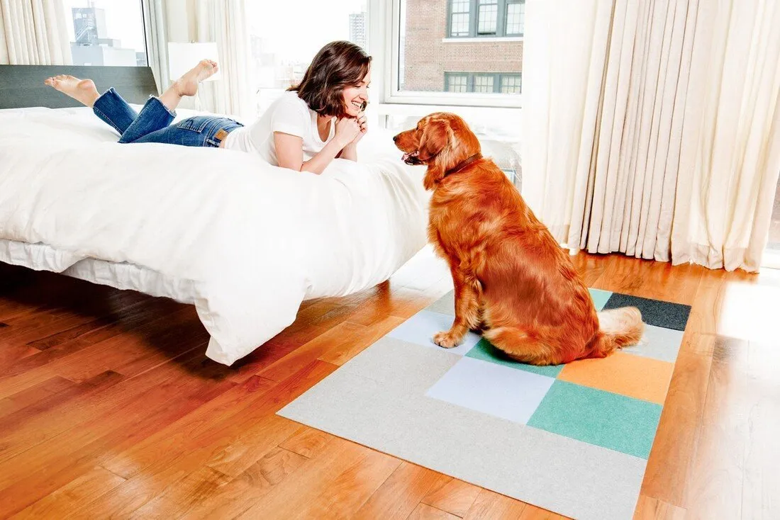 25% OFF: Triluc Non-Slip Washable & Water-Repellent Pet Mat (Light Blue 4-Piece)