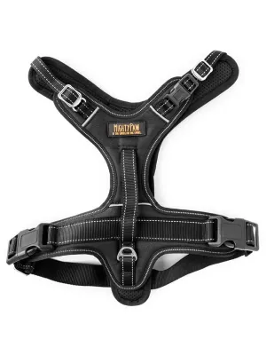 Comfortable No Pull Dog Harness with Neck Buckle