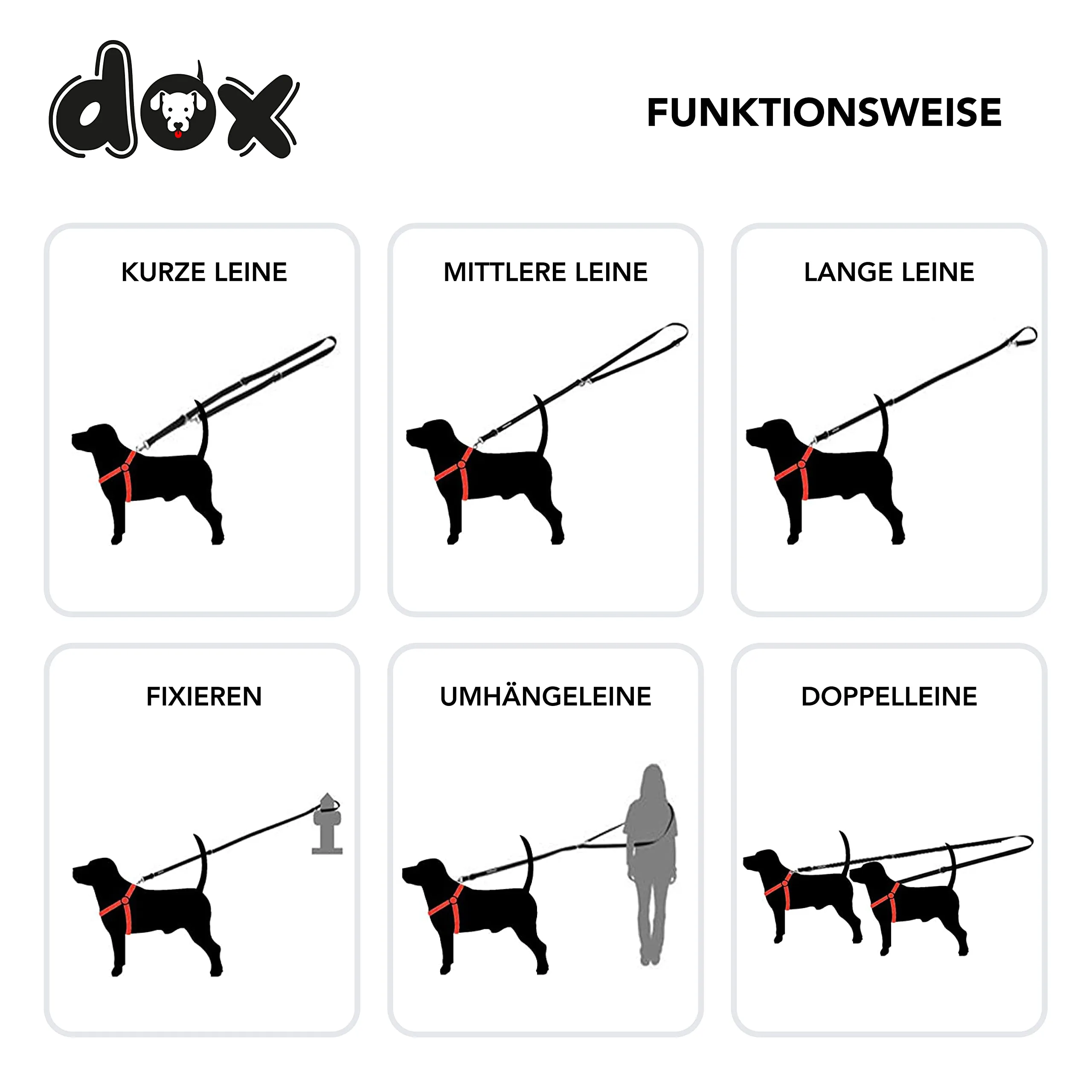 DDOXX Nylon Dog Leash, 3-Way Adjustable, 6.6 ft - for Dogs Large & Small - Double Dog