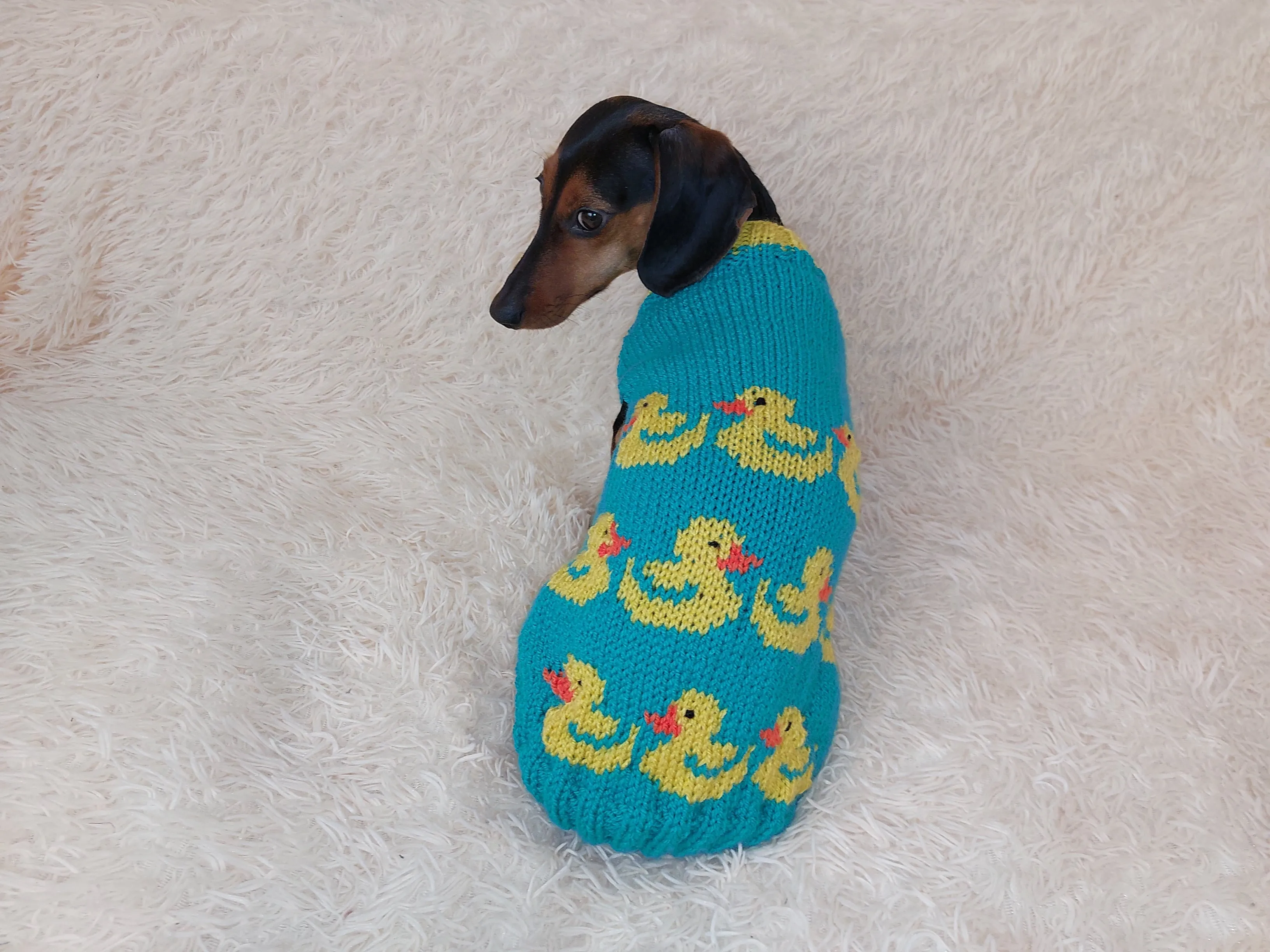 Dog clothes jumper with ducks