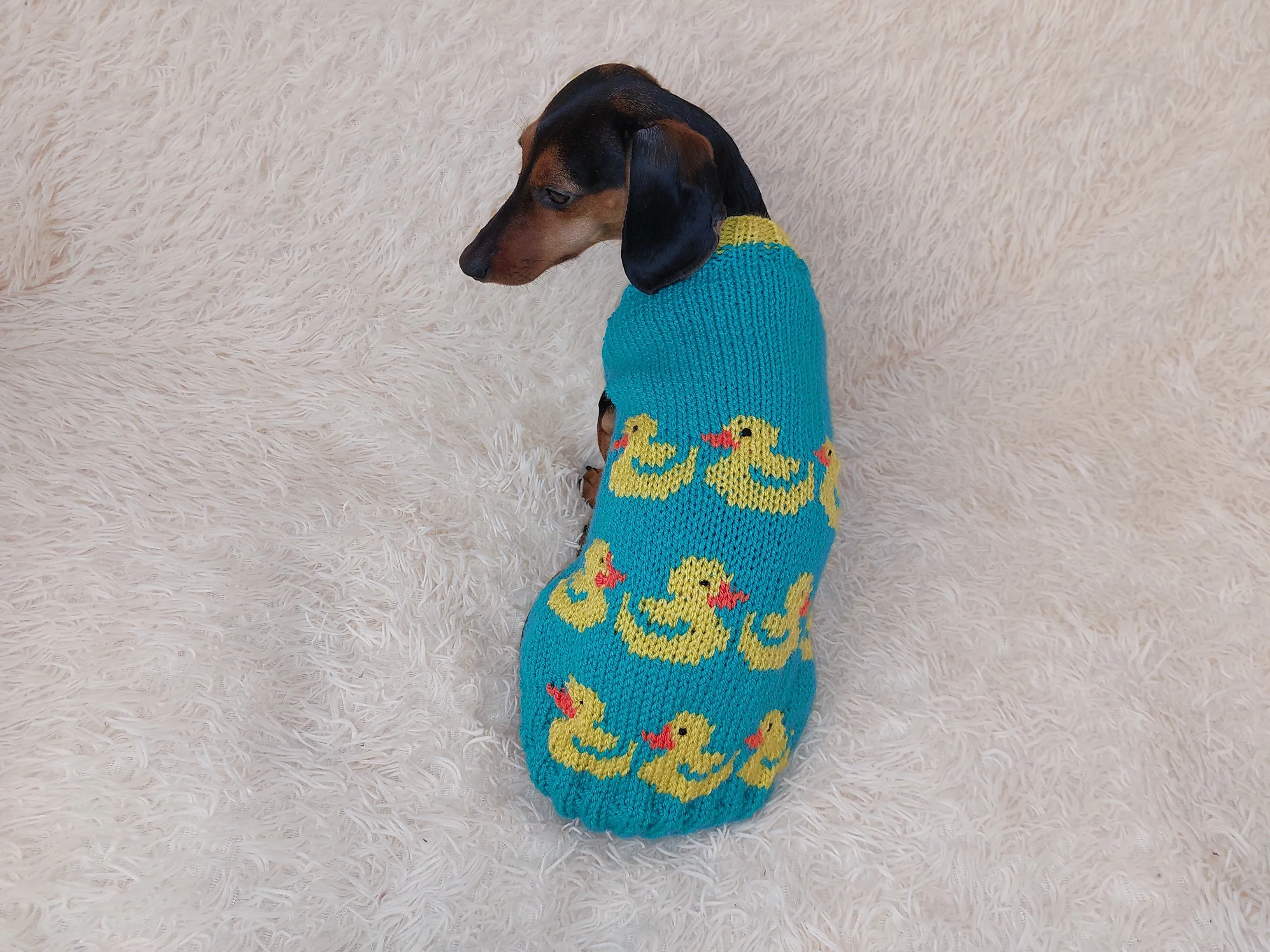 Dog clothes jumper with ducks