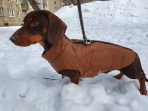 Faux Leather Dachshund Jacket