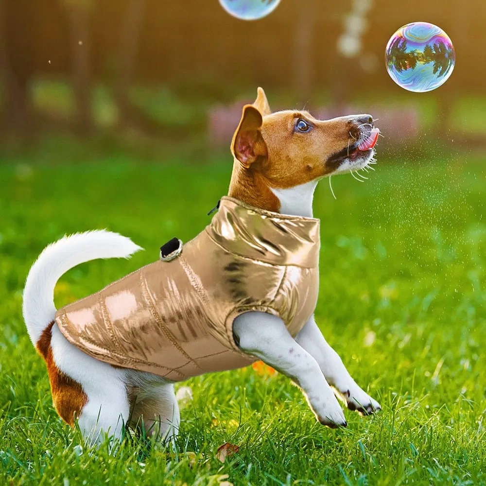 Glossy Waterproof Dachshund Jacket