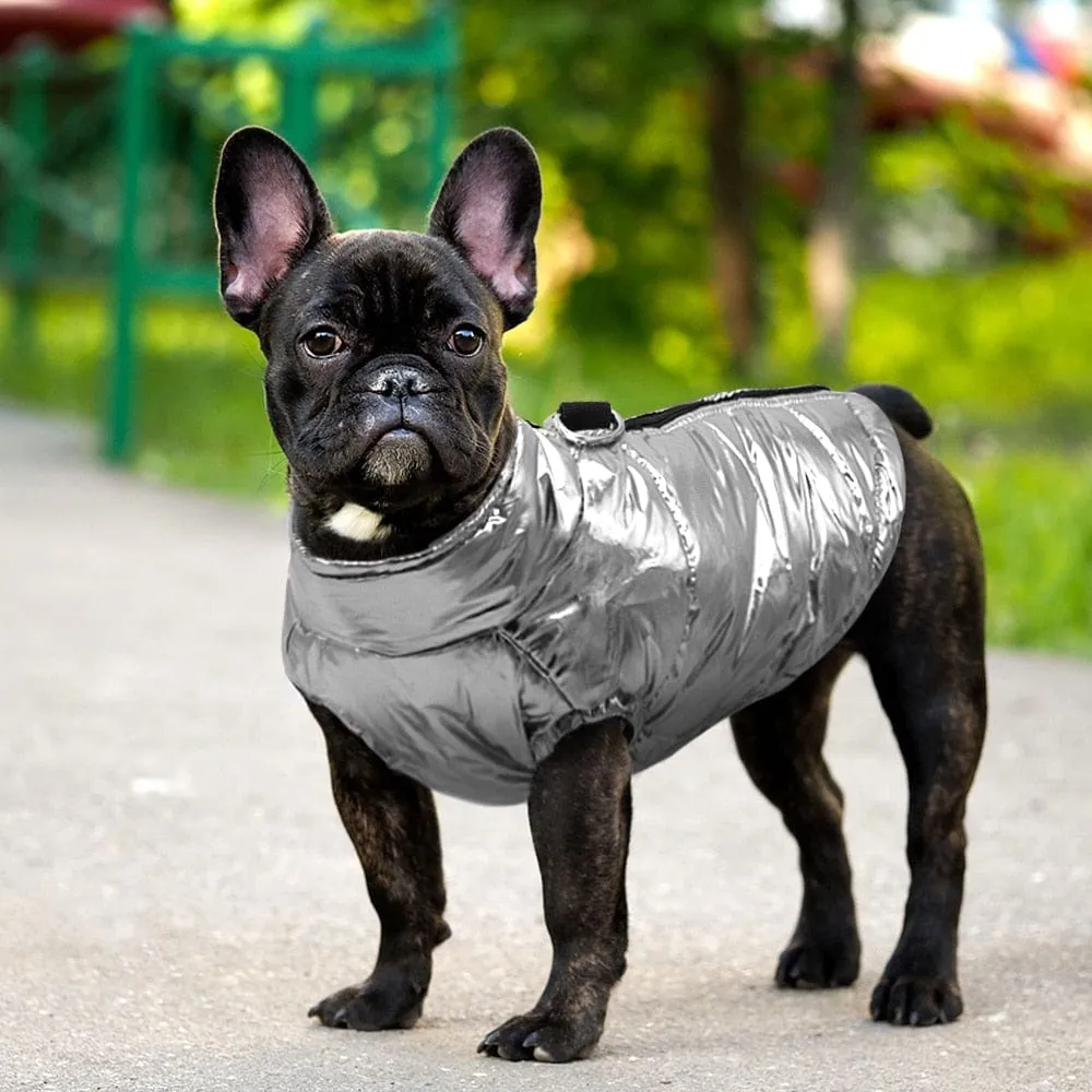 Glossy Waterproof Dachshund Jacket