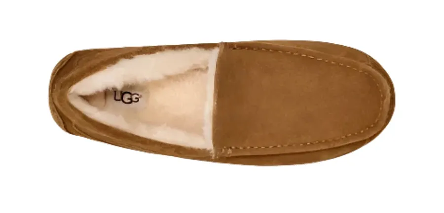 MEN'S UGG ASCOT SLIPPER | CHESTNUT