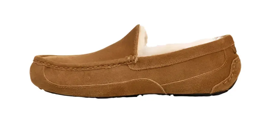 MEN'S UGG ASCOT SLIPPER | CHESTNUT