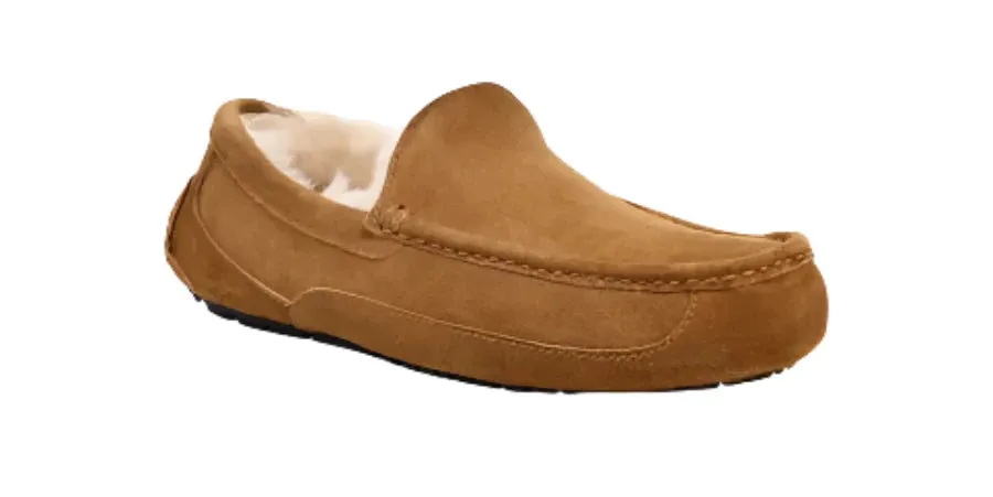 MEN'S UGG ASCOT SLIPPER | CHESTNUT