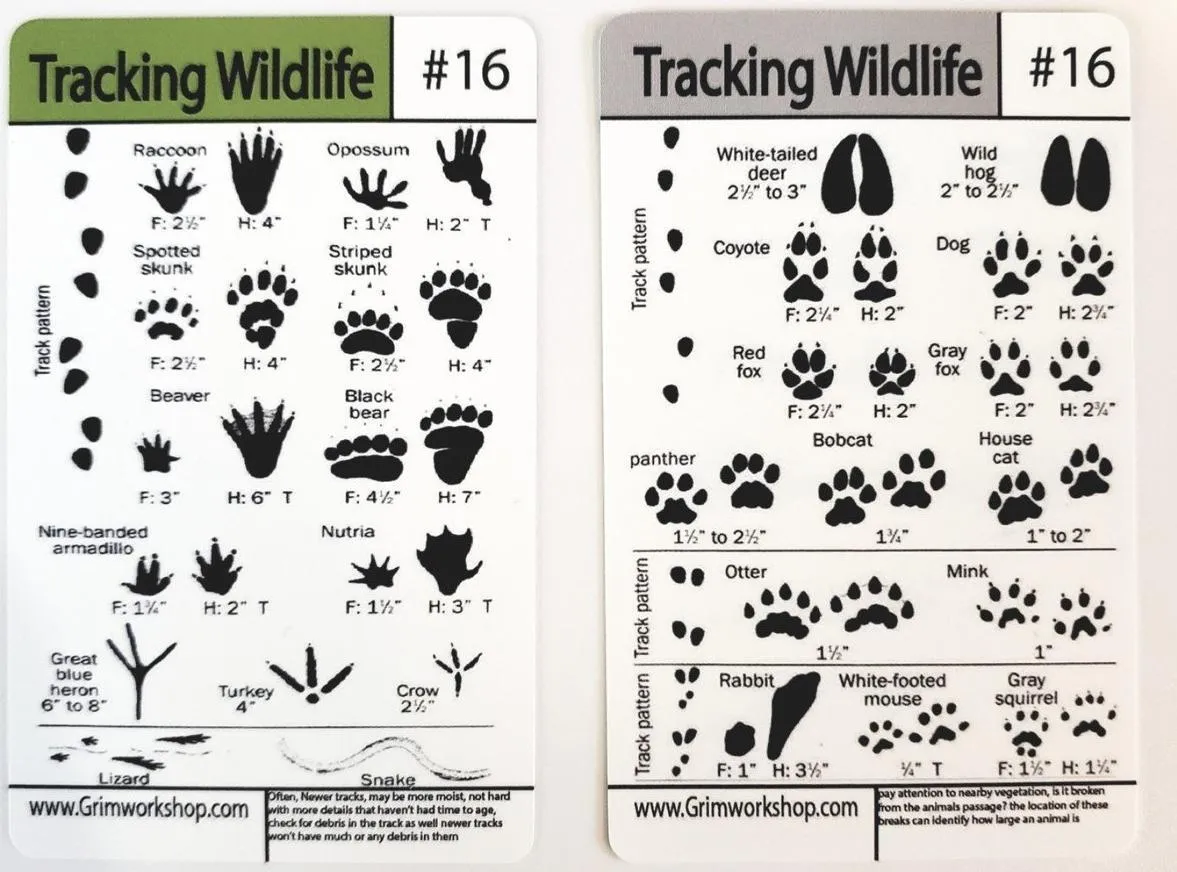 Tip Card #16 Tracking (Prints): Animal Track Chart