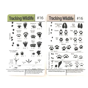 Tip Card #16 Tracking (Prints): Animal Track Chart