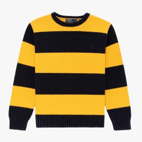 Vintage Polo Striped Sweater